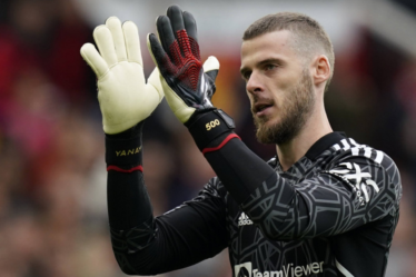 fakta David de Gea