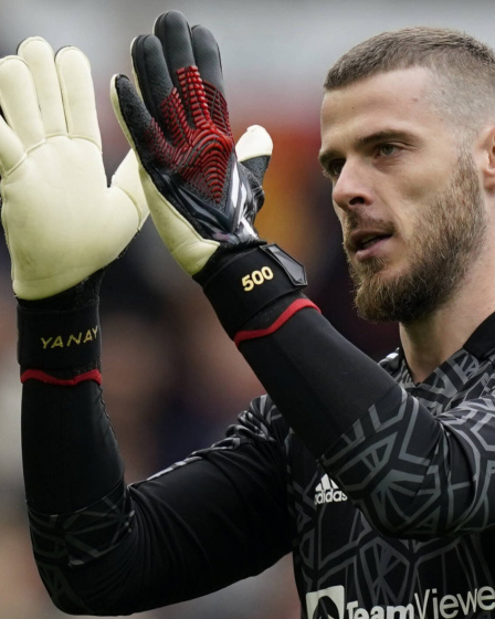 fakta David de Gea