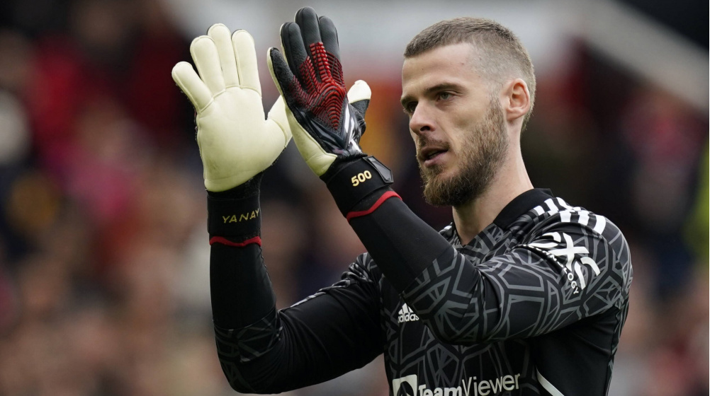 fakta David de Gea